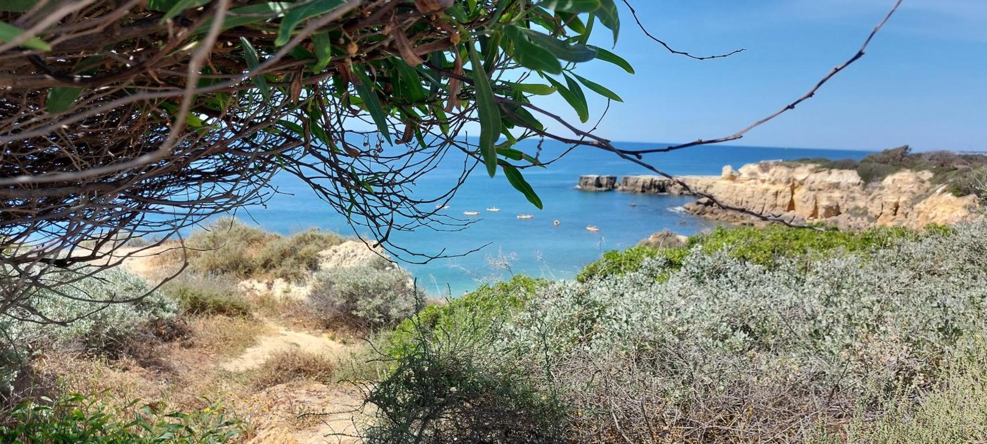 Baia Village - Praia Do Castelo - Gale - 알부페이라 외부 사진
